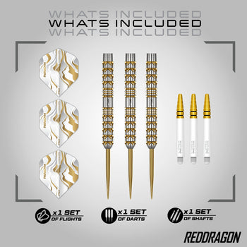 Red Dragon Paradym Darts – Gold- und Silberparallel