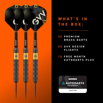 Winmau Gian van Veen Brass Darts