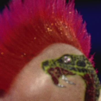 Peter Wright Corra Soft Tip